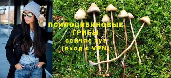 MDMA Premium VHQ Заводоуковск
