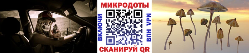KRAKEN ONION Осташков Псилоцибиновые грибы Psilocybe